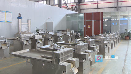 科技賦能，智造未來 機械設備領域的“專精特新”企業崛起之路